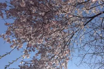 <p>Looking up.</p>