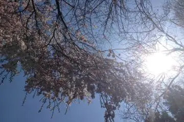 <p>Even with the glare of the sun, it's a lovely sight.</p>