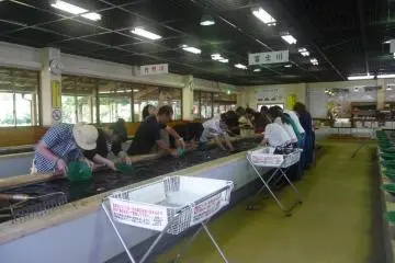 Gold panning -- There are 3 rows filled with little rocks and sand and water.  People line up on either side and start panning for gold.