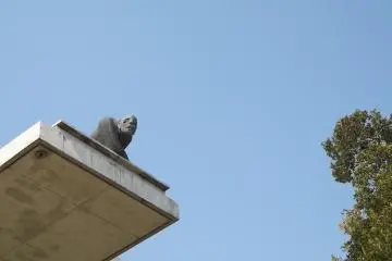<p>I spy with my little eye</p>