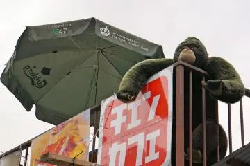 <p>Be sure to look up when walking the streets of Harajuku</p>
