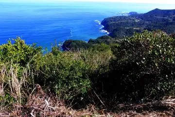 View from Pearl Road Toba Observation Tower