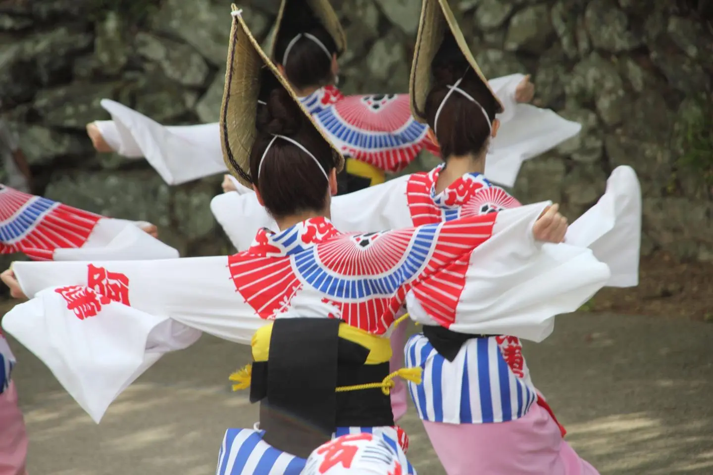Aho Ren: Dancing Group of Awa Odori