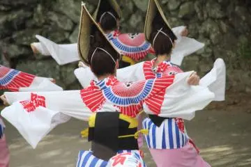 Aho Ren: Dancing Group of Awa Odori
