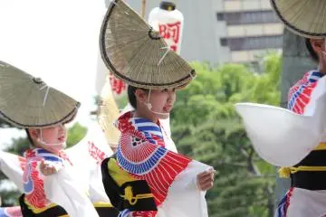<p>Dancers in line</p>
