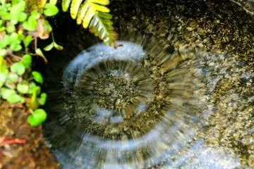 Water ripples in a basin