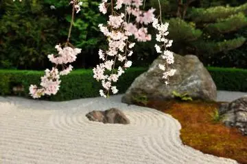 <p>A total of 15 stones, eight in the garden of Yin, seven in the garden of Yang, are set out</p>