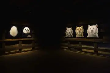 SHIMADAI GALLERY KYOTO &ldquo;More Than Human&rdquo; Tim Flach