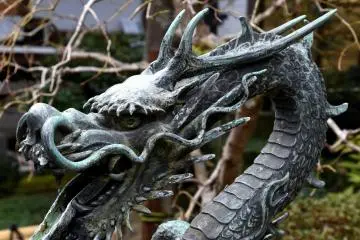 사나운 용을 가까이서 보다