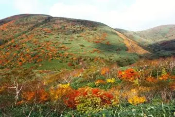 <p>Pada musim gugur, lereng diselimuti pohon-pohon yang lebih rendah dari Gunung Akita-Komagatake yang berselimut warna-warna berani. Ada sejumlah jalur yang berbeda yang dapat Anda ambil di daerah ini, termasuk pendakian yang lebih jauh ke Nyuto-san.</p>