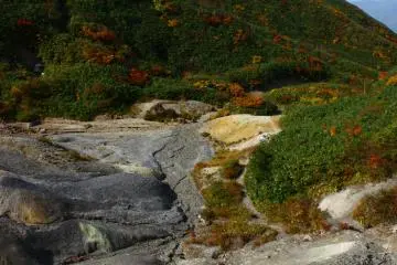 <p>Ada kontras antara garis pohon dan lereng gunung berapi, di mana sedikit pepohonan tumbuh sebagai akibat dari sulfur di bawah tanah.</p>
