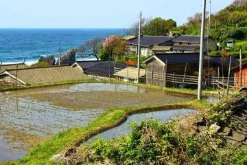 <p>A small cluster of houses, with some wonderful sea views!</p>