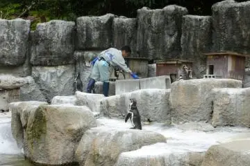 Soon Mr keeper.... soon (Photo: N.Skoulding)