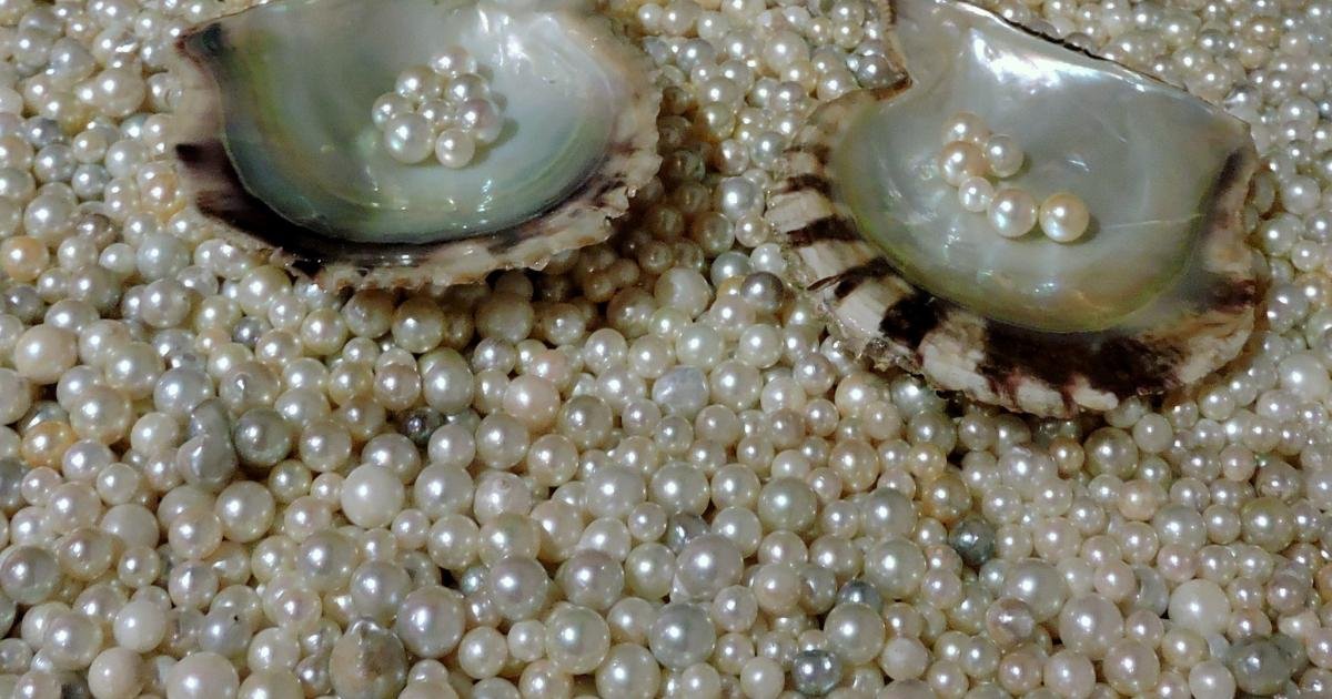 Visiting Mikimoto Pearl Island - Toba, Mie - Japan Travel