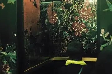 Kemudian saya siap untuk pergi dan melihat pameran ikebana. Saya berjalan melalui lift yang cantik ini.