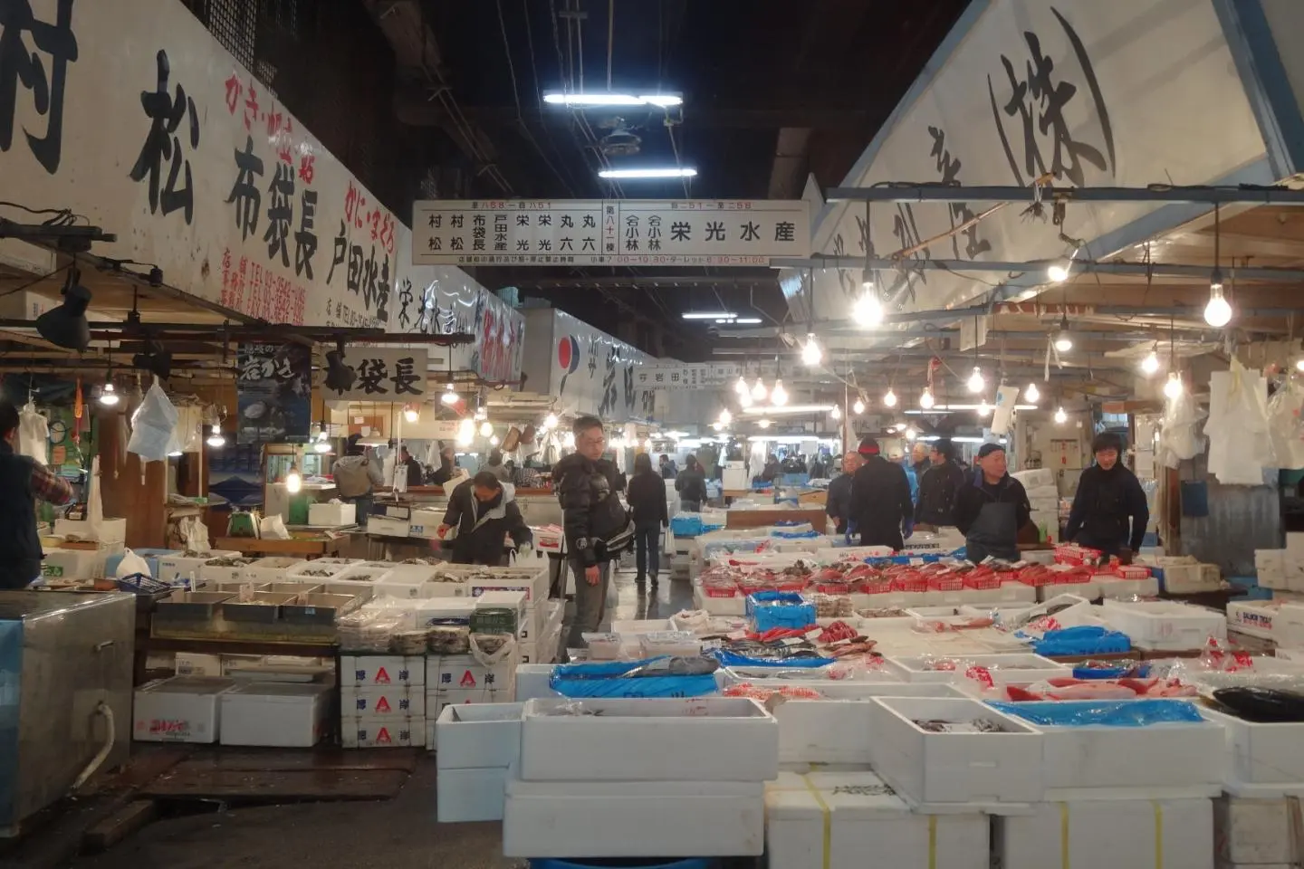 เยือนตลาดปลาซึตกิจิ โตเกียว
