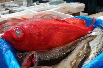 <p>&lsquo;เรายกทะเลมาไว้ที่นี่&rsquo;</p>