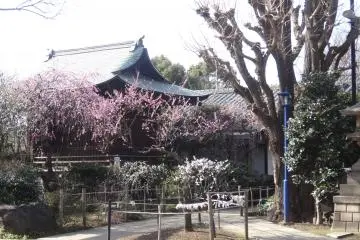 Gallery image
