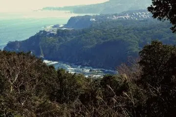 Mirando hacia la bah&iacute;a donde Godzilla atac&oacute; por primera vez.&nbsp;Tomada en el Hotel Kagura Ijika Daiichi