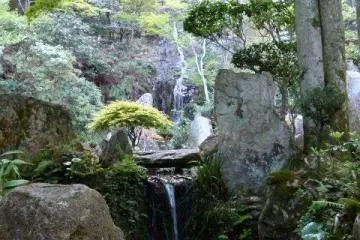 น้ำตก