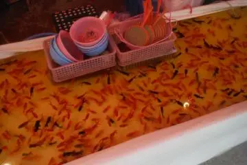 <p>ร้านรวงในงานวัดข้างทาง 2</p>