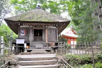 Gallery image