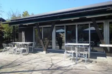 <p>A view of part of the terrace</p>