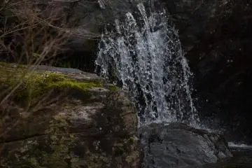 <p>A small waterfall in the pond</p>