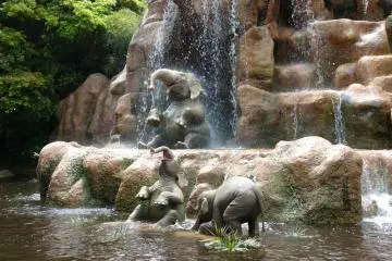 <p>ล่องเรือในป่า</p>