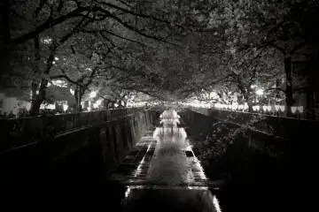 <p>ภาพขาวดำ</p>

