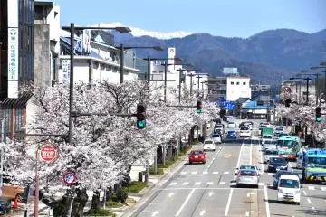 <p>Salju yang tertinggal di puncak gunung Haku dilihat dari&nbsp;tangga penyebrangan jalan Sakura&nbsp;berhiaskan pohon sakura</p>