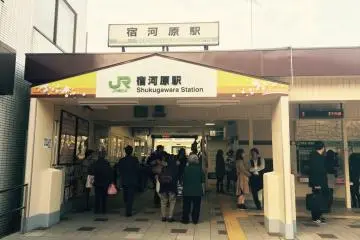 Gallery image