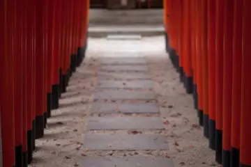 <p>Non loin de l&agrave;, on trouve le sanctuaire Kushida</p>