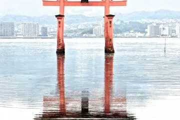 <p>Iconic view of the famous torii gate reflected in the water at low tide</p>