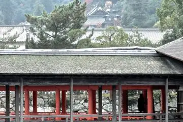 <p>View of some of the shrine's covered wooden walkways, and Daisho-in&nbsp;Temple</p>
