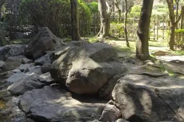 <p>A stream runs along the forest's edge</p>