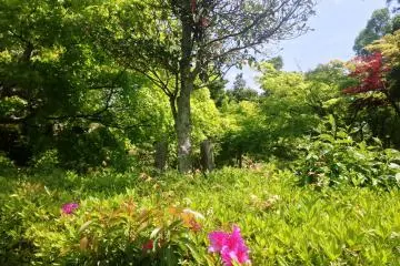 <p>A gentle breeze awakens your spirit in this spacious and unhurried garden</p>