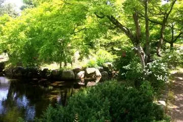 <p>The landscape architects did a fantastic job in redesigning the castle ruins and the moat into several ponds and a strolling garden. These days it is a quiet and romantic place to go for a stroll.</p>