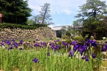 <p>In 1600 the daimyo Hosokawa Yusai fought a large army here prior to the Battle of Sekigahara. While parts of the castle are now in ruins, the gatehouse and boundary has been restored.</p>