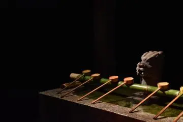 구석의 조용한 정수 