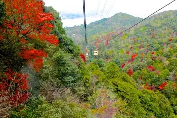 <p>Riding the ropeway down to Miyajima Island</p>
