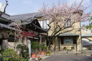 <p>Glorious springtime colors</p>