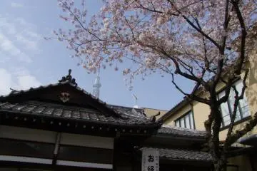 <p>Pink on blue: a beautiful combination</p>
