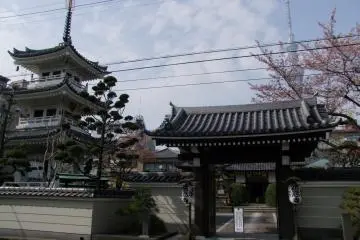 <p>View from the street</p>
