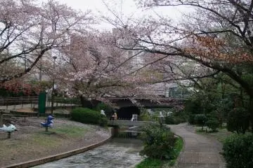 <p>A beautiful place to explore</p>