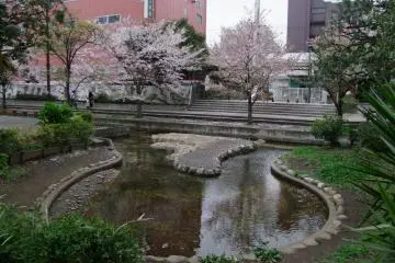 <p>A handsome park</p>