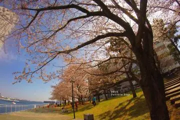 <p>I wouldn't mind just sitting in the grass all day</p>