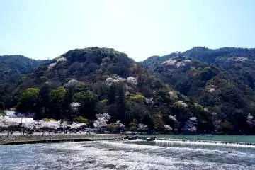 <p>도게츠교 위에서 본 풍경. 강 상류쪽에서 뱃놀이를 즐기는 사람들도 볼 수 있어요.</p>