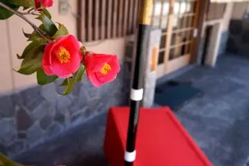 <p>제가 사는 곳에선 보기 힘든 동백꽃..! 너무 반가웠어요.</p>