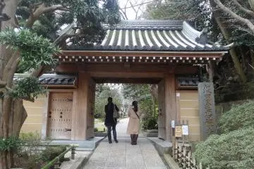 Gallery image